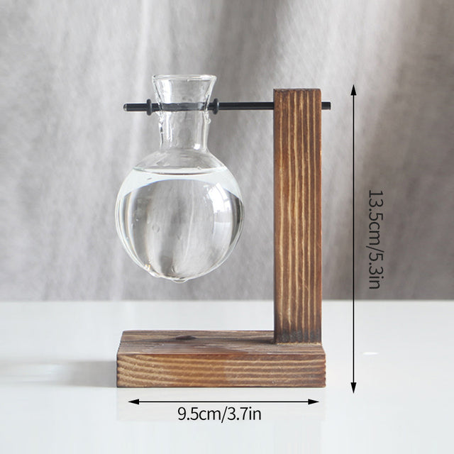 Vintage Glass Hydroponic Terrarium Plant Vase Decor